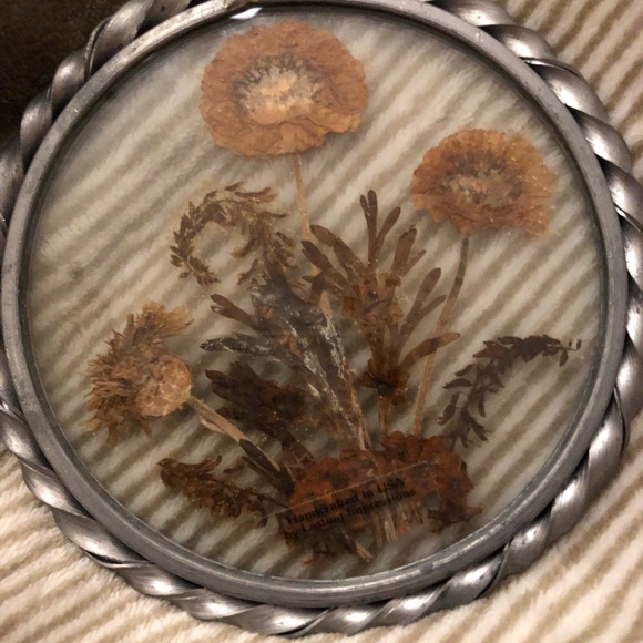 Vintage pressed flowers suncatcher set - Picture 4 of 7